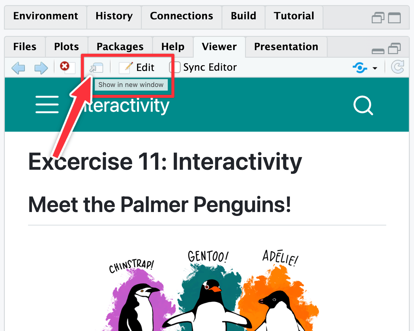 Screenshot of the RStudio Viewer panel showing a rendered Quarto website preview. A red box and red arrow highlight the 'Show in new window' icon button in the toolbar, which opens the preview in a full browser tab. A tooltip reads 'Show in new window.'